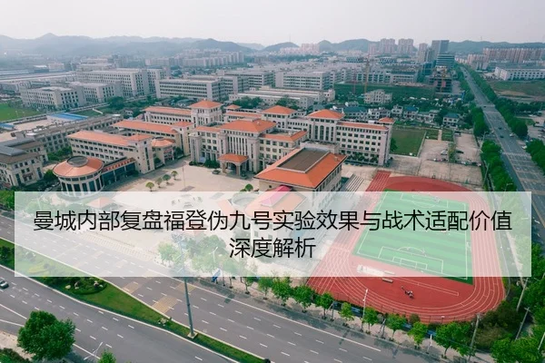 man-cheng-nei-bu-fu-pan-fu-deng-wei-jiu-hao-shi-yan-xiao-guo-yu-zhan-shu-shi-pei-jia-zhi-shen-du-jie-xi-2-667.jpg