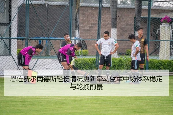恩佐费尔南德斯轻伤情况更新牵动蓝军中场体系稳定与轮换前景
